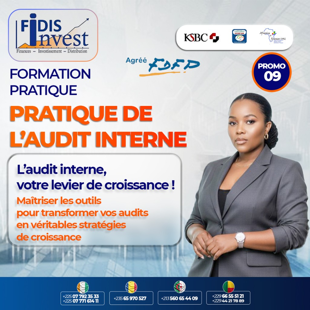 Pratique de l’audit interne